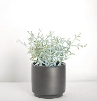 Thin Leaf Potted Plant 8.5”