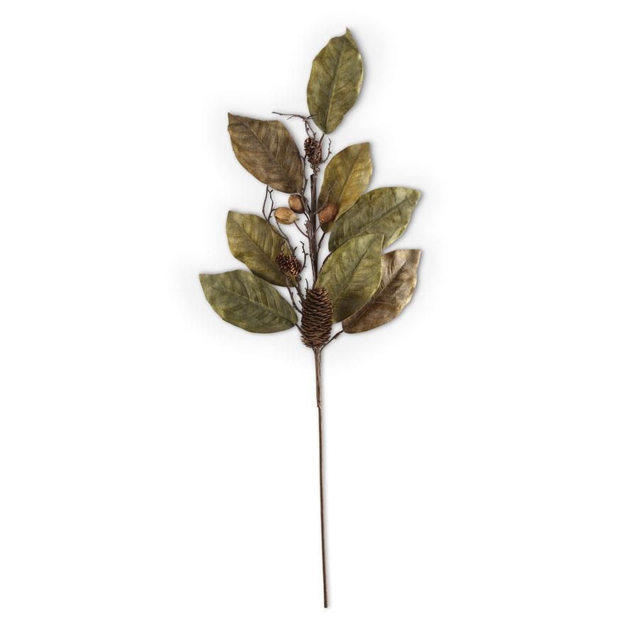Magnolia Pinecone and Nut Stem 32”