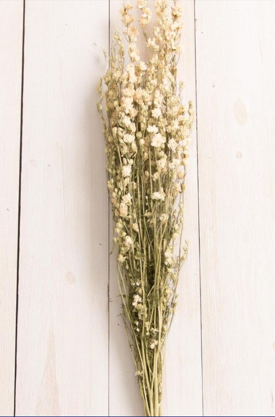 Dried White Larkspur Bundle