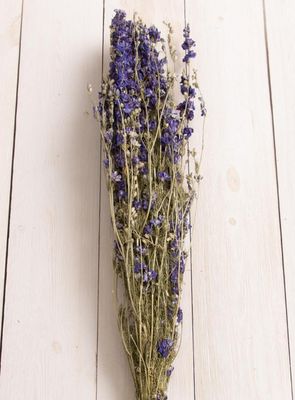 Dried Blue Larkspur Bundle