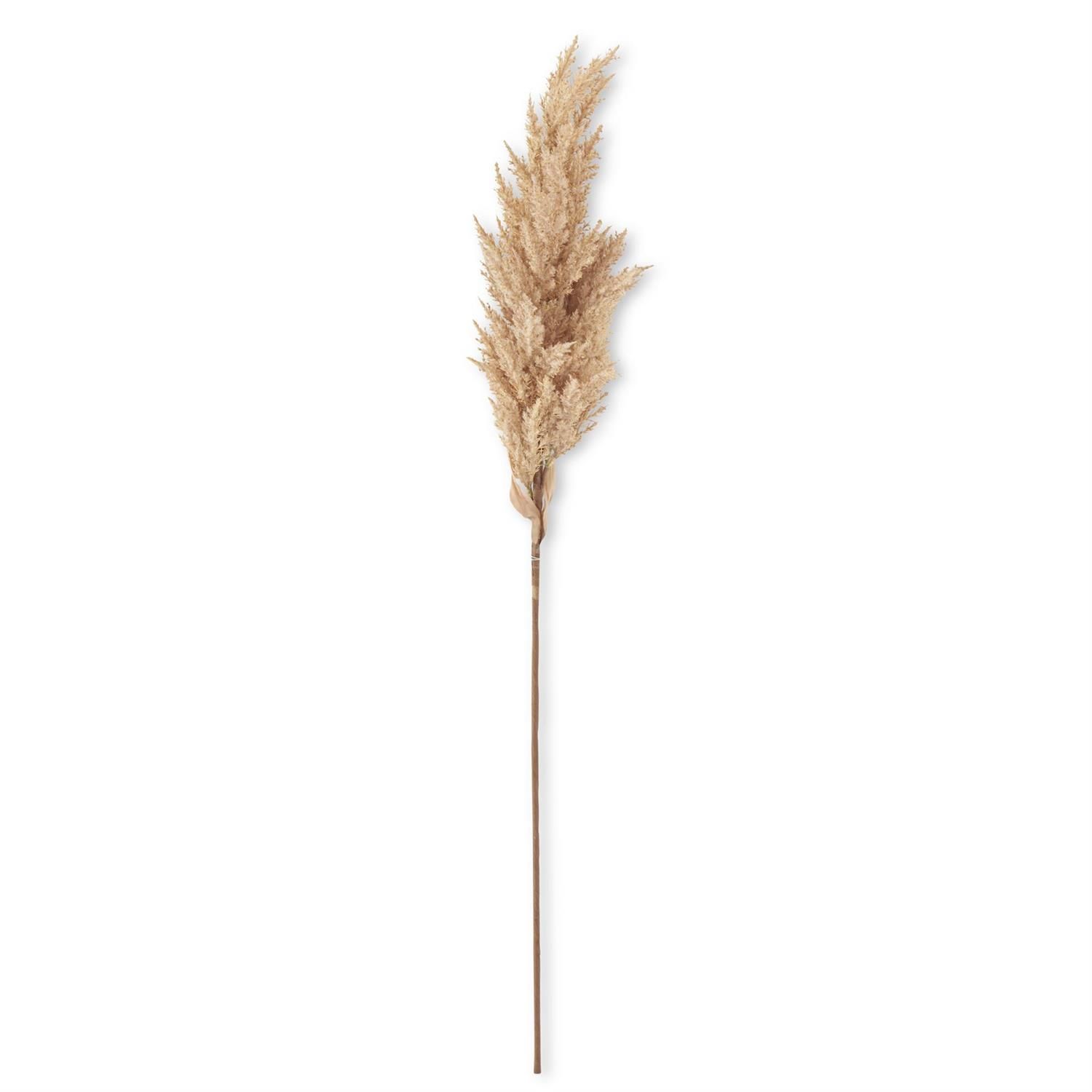 Tan Sorghum Grass Stem 43”