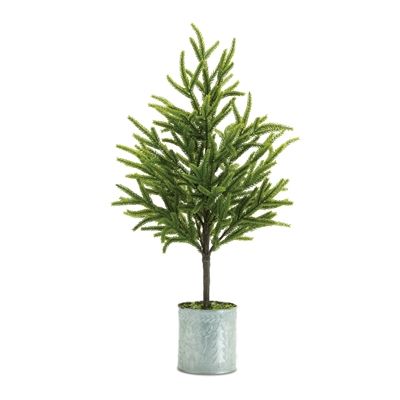 Potted Pine Tree 24”