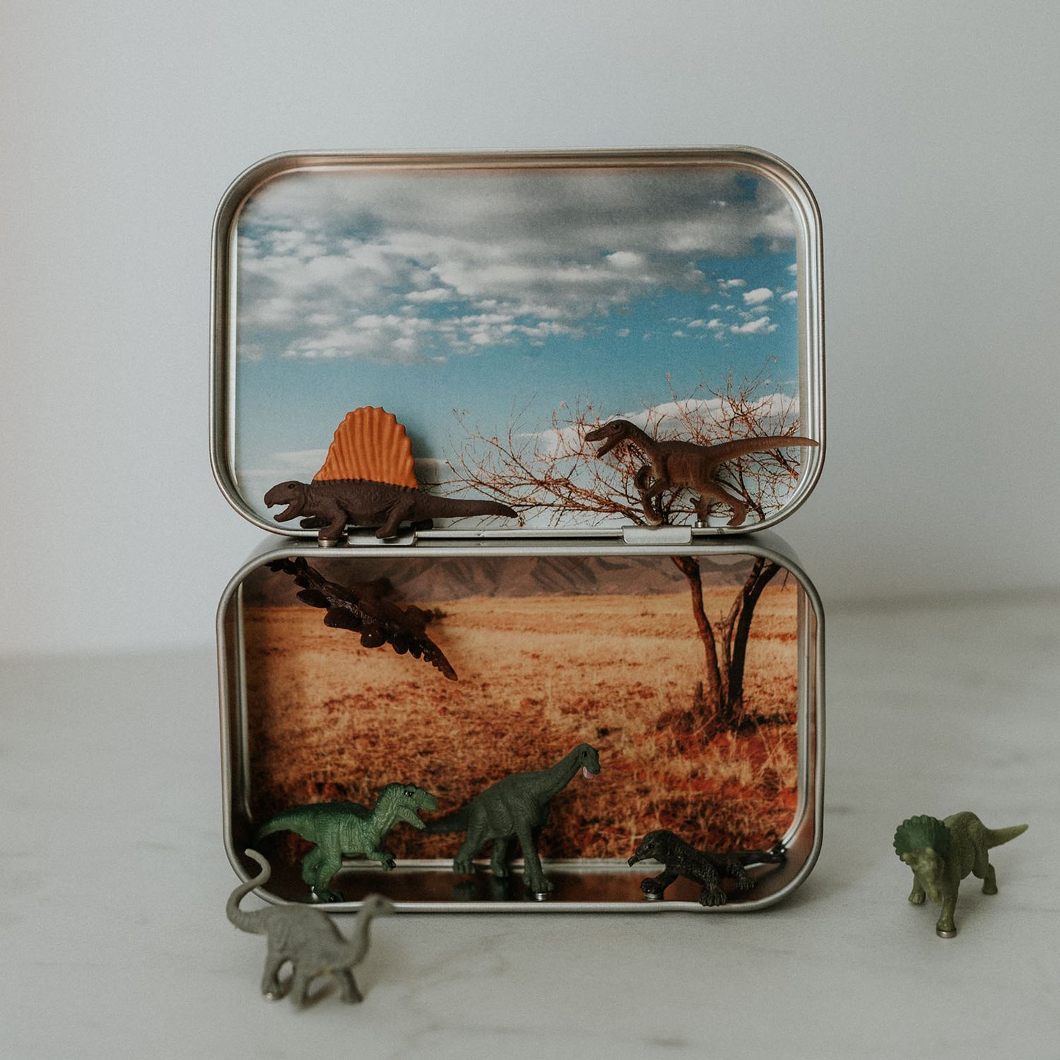 Mini Dinosaur Magnetic Animal Tin