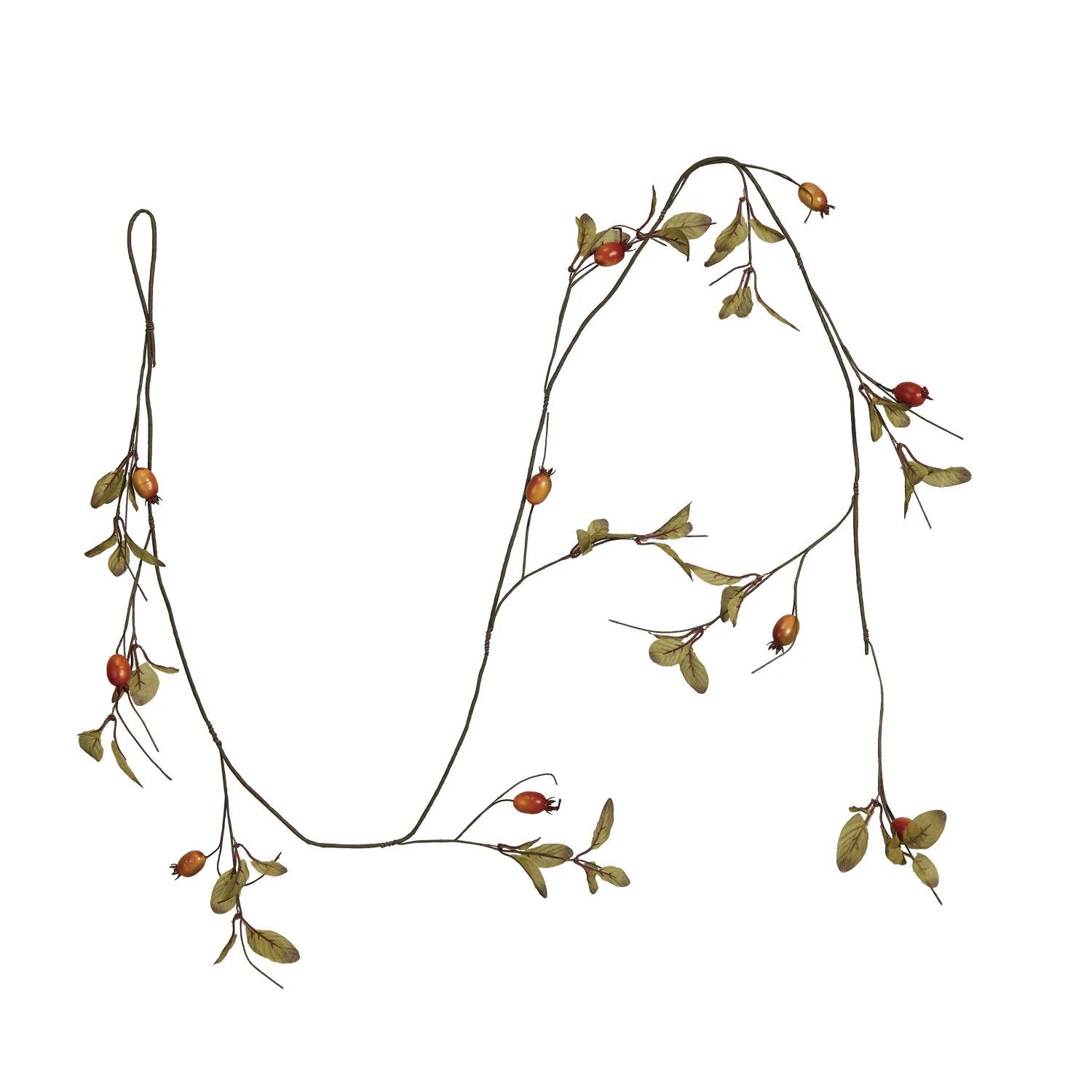 Rose Hip Garland in Green &amp; Orange