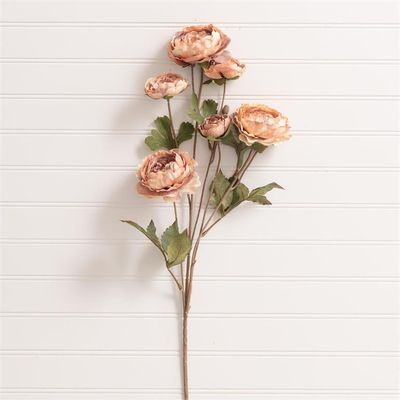 Blush Ranunculus Pick 31.5”