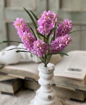 Hyacinth Hills Bush 11" Pink
