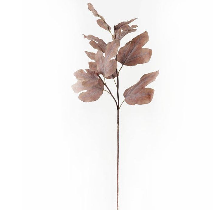 Autumn Fig Brown