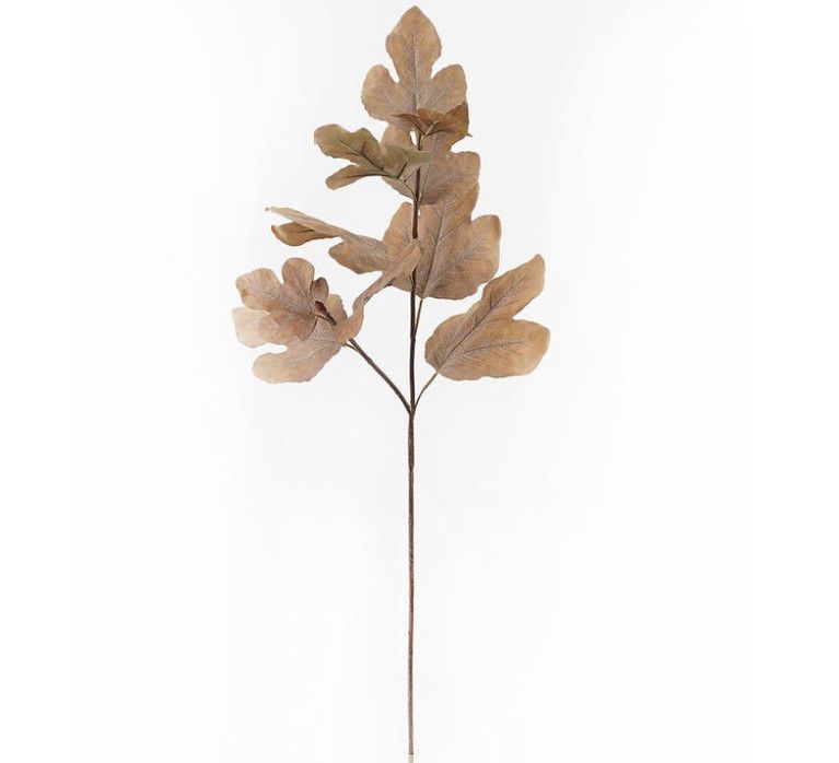 Autumn Fig Gold