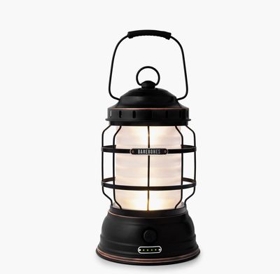 Forest Lantern Antique Bronze