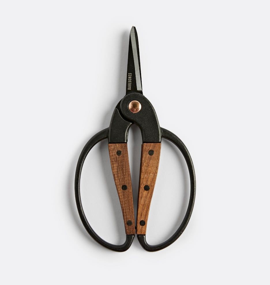 Garden Scissors Sm