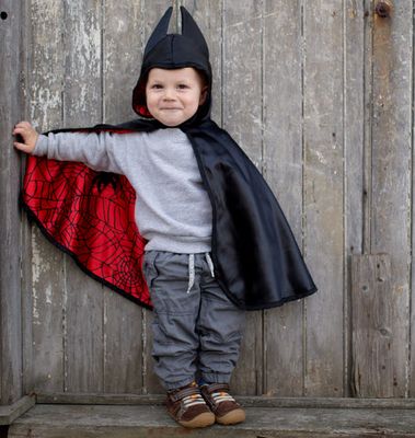 Reversible Spider/Bat Cape