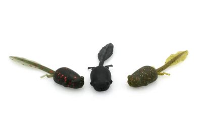 Zaza Tadpoles 2.9”