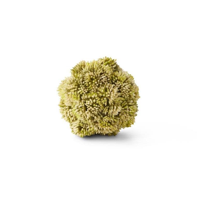 Light Green Sedum Ball 4”