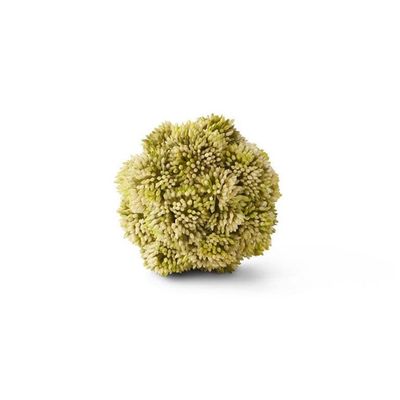 Light Green Sedum Ball 4”