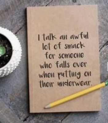 I Talk An Awful Lot Kraft Notebook