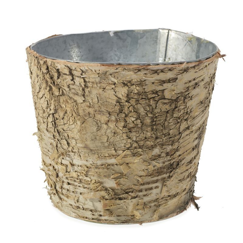 Birch Pot w/zinc LG