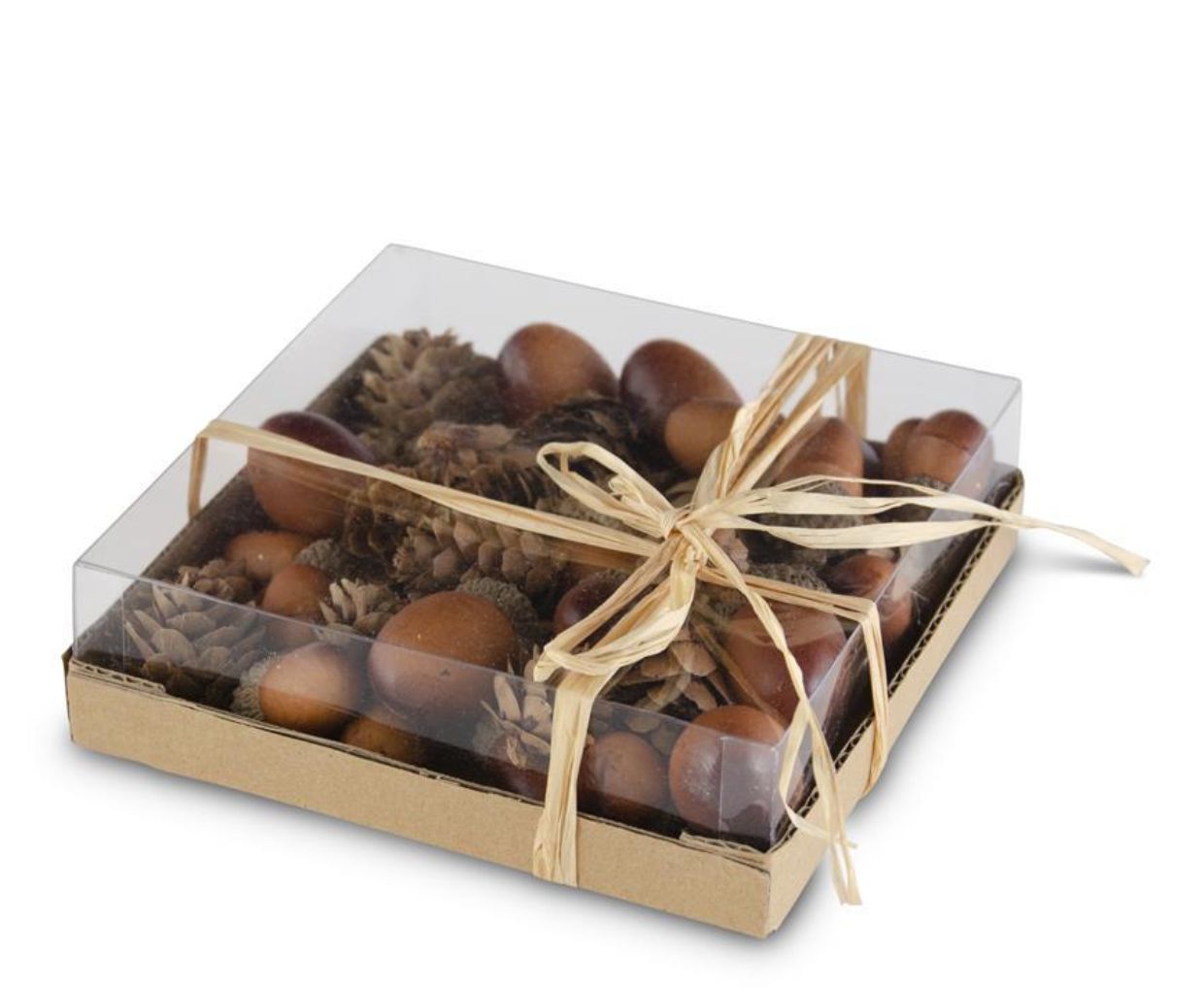 Brown Acorns &amp; Pinecones 24 ct