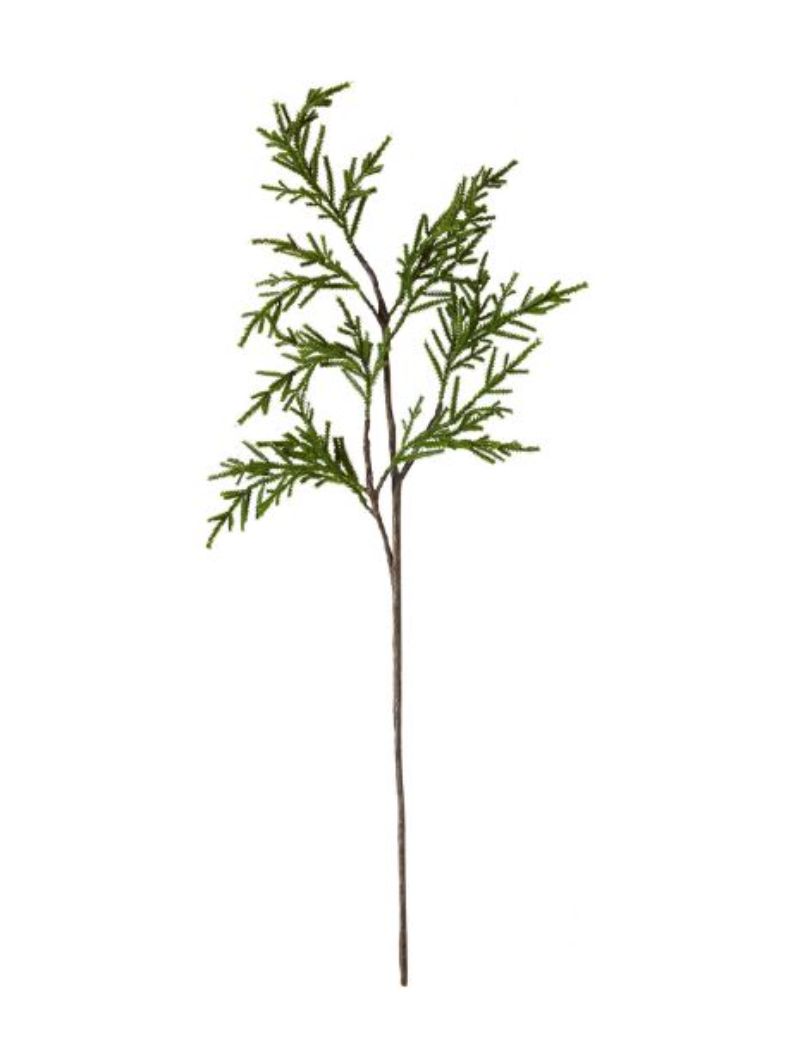 Pencil Pine Spray