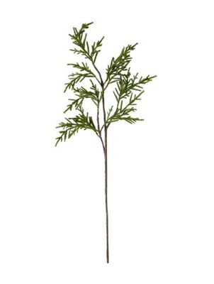 Pencil Pine Spray