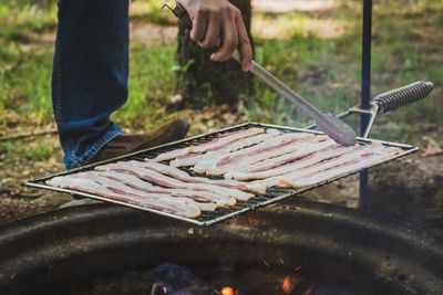 The Graber Grill