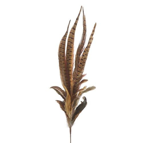 Mixed Feather Spray 35”