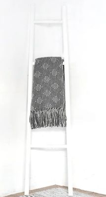 White Wash Ladder