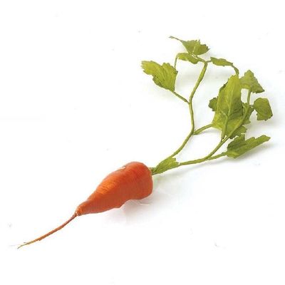 13&quot; Orange Carrot