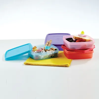 Smart and Slim Lunch Container 5.5&quot; x 5&quot;