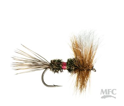Wulff - Royal #14