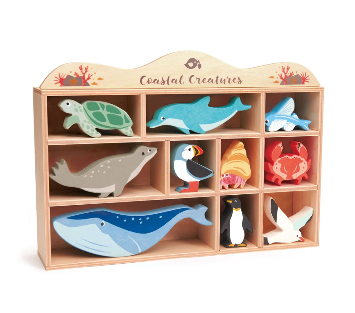 Coastal Animals with Display Shelf