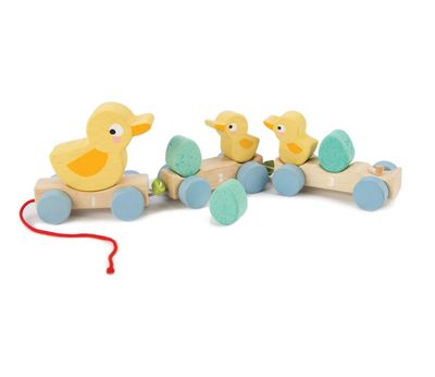 Pull Along Ducks