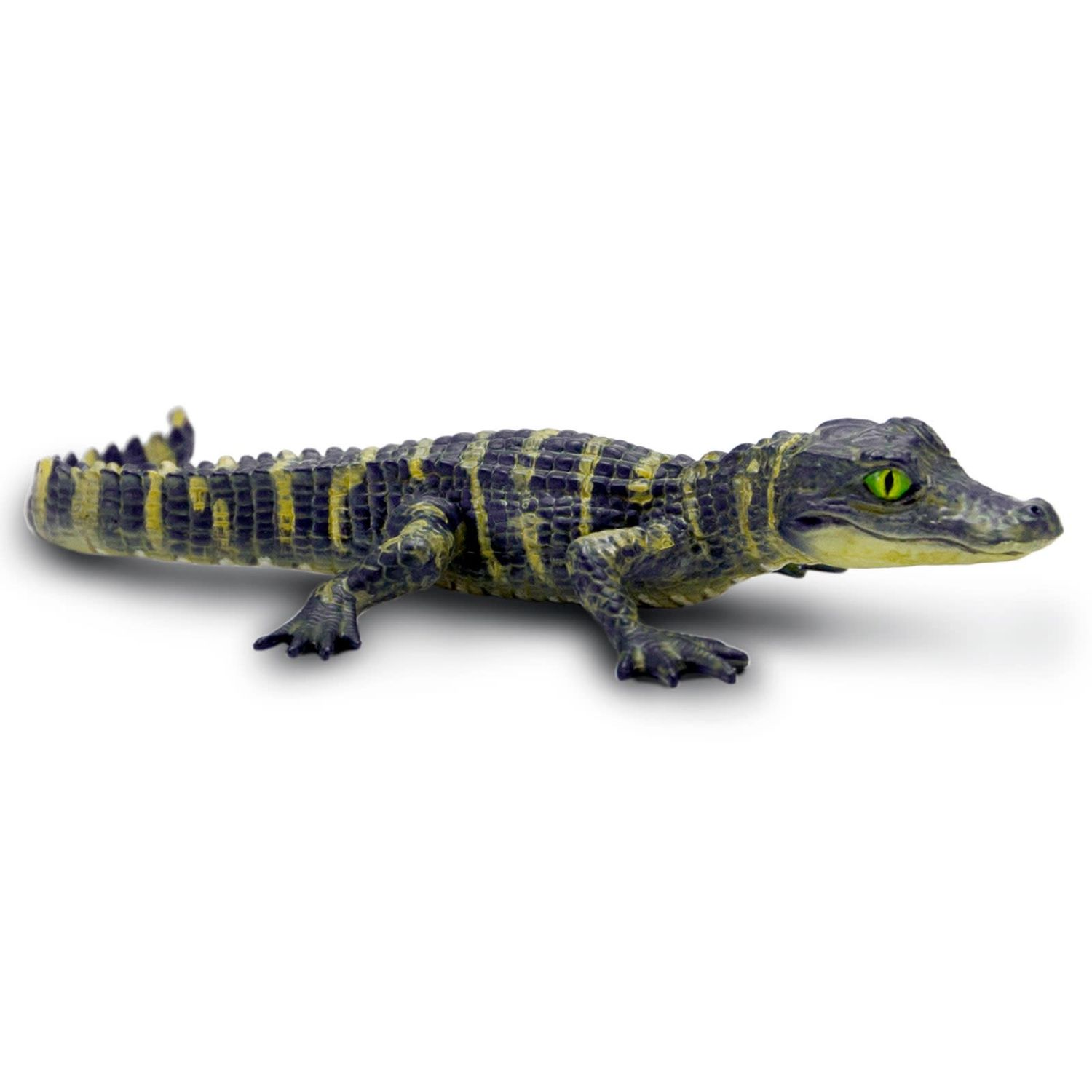 Alligator Baby