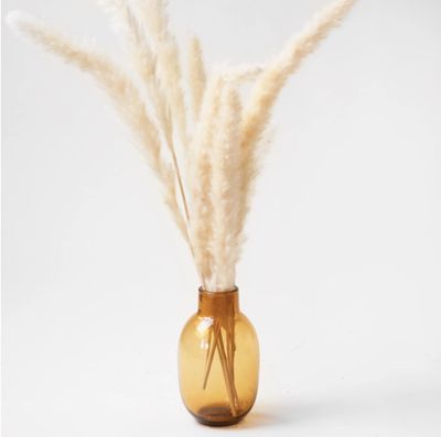 Amber Bottle 5.5&quot;