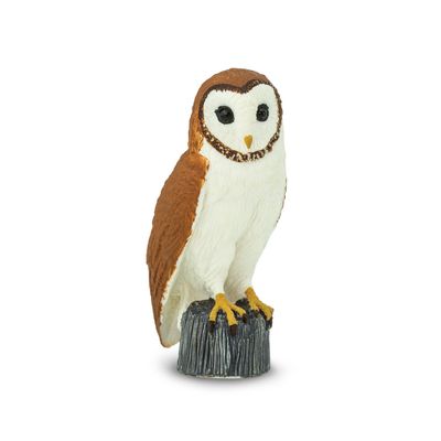 Barn Owl