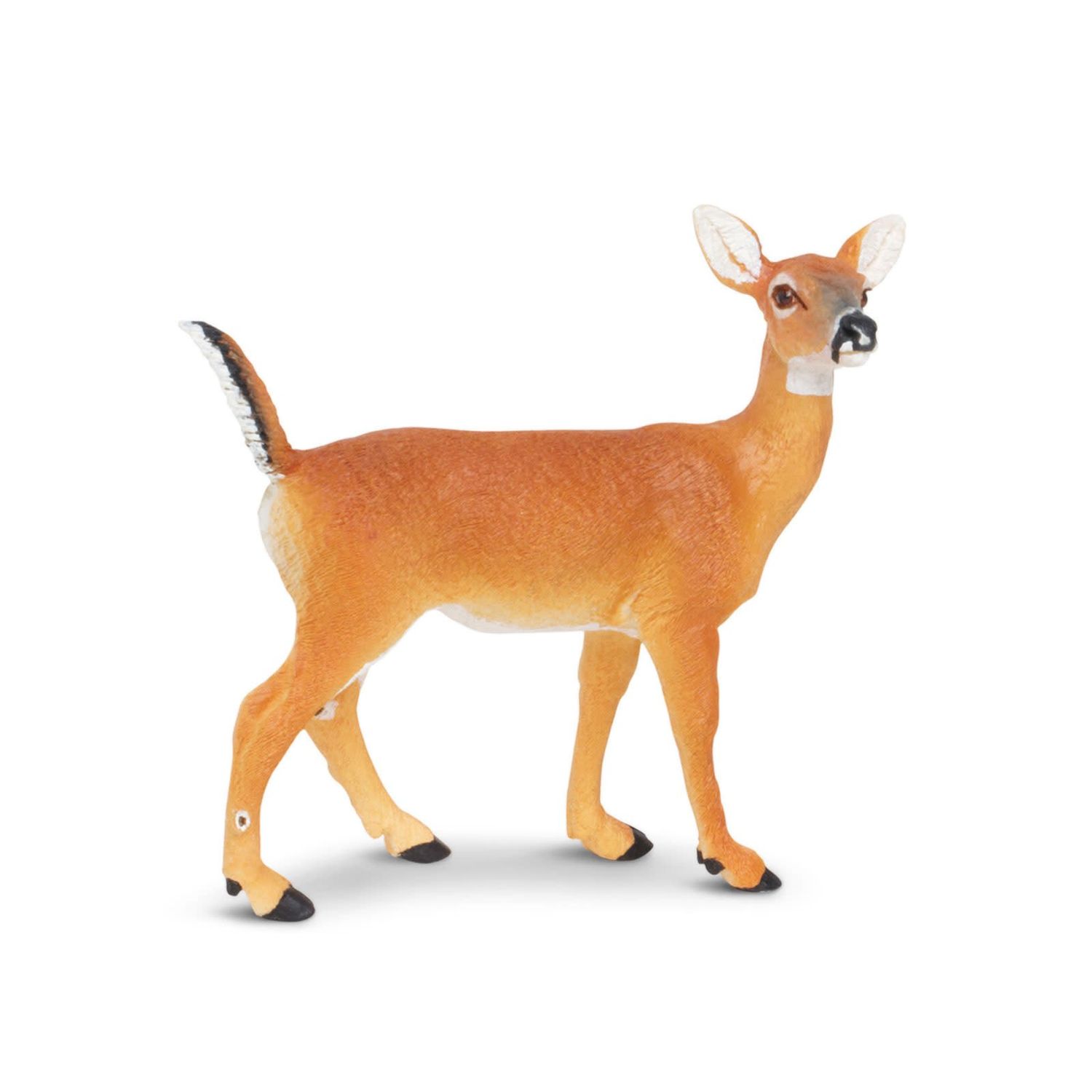 Whitetail Doe
