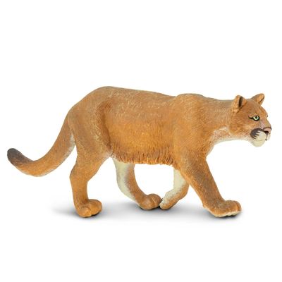 Mountain Lion