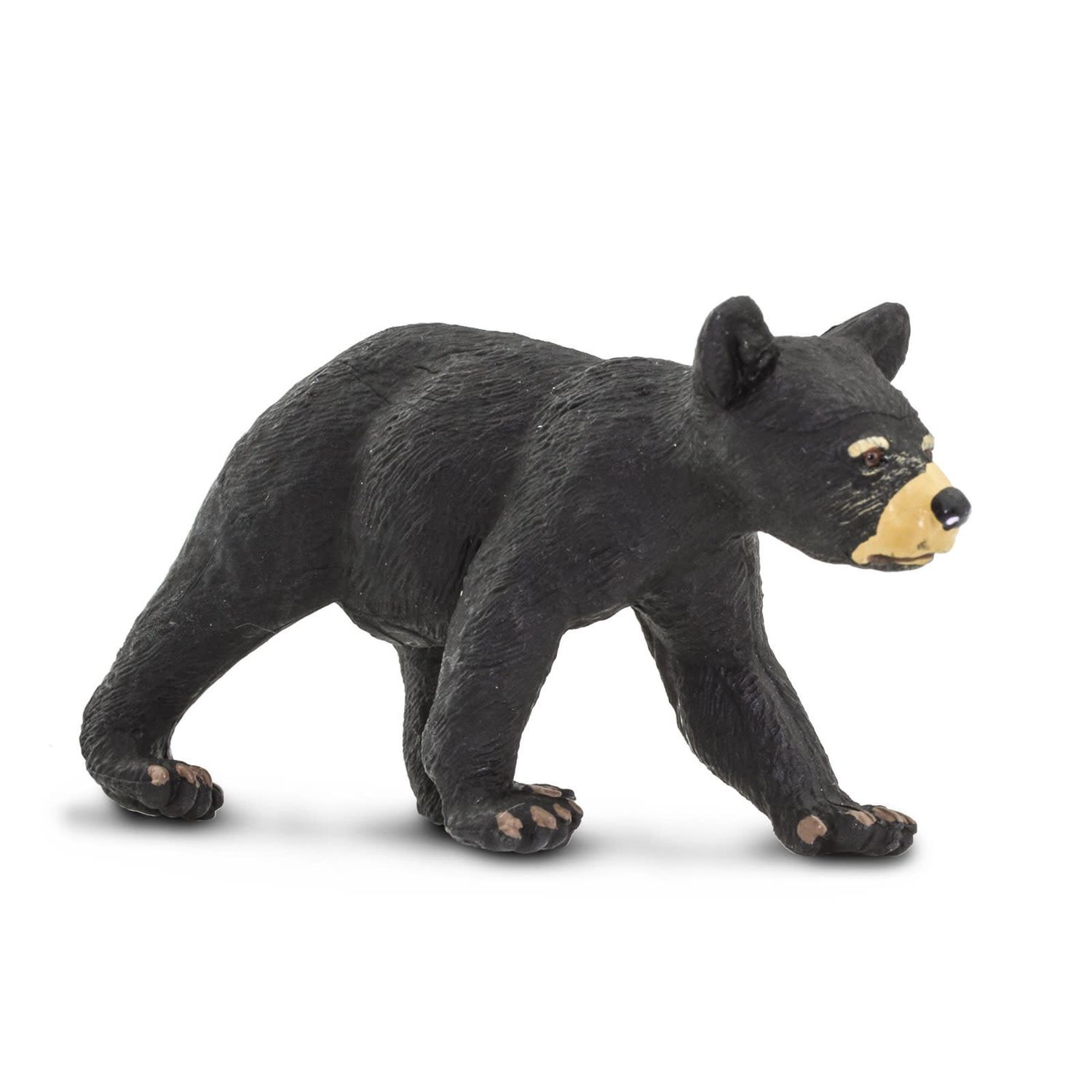 Black Bear Cub