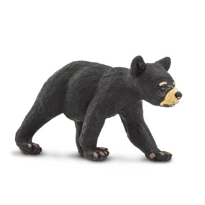 Black Bear Cub