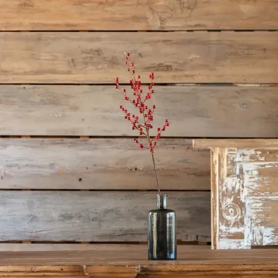 Clearance - Native Ilex Berry Stem