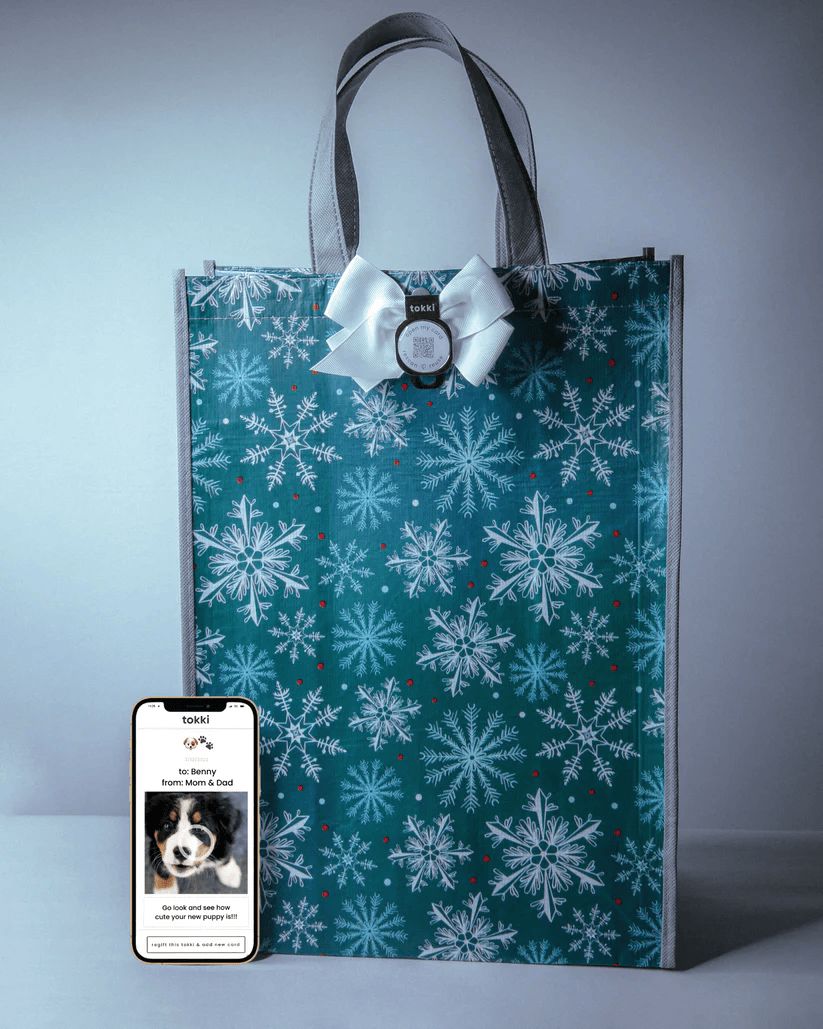 Believe Gift Bag - Large