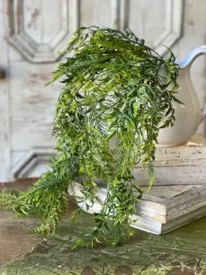 Deer Fern Hanging 35”