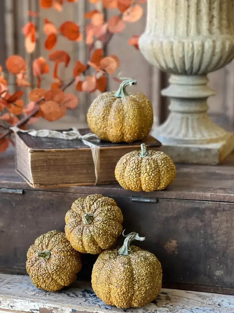 Furrowed Fields Pumpkins 5 pc