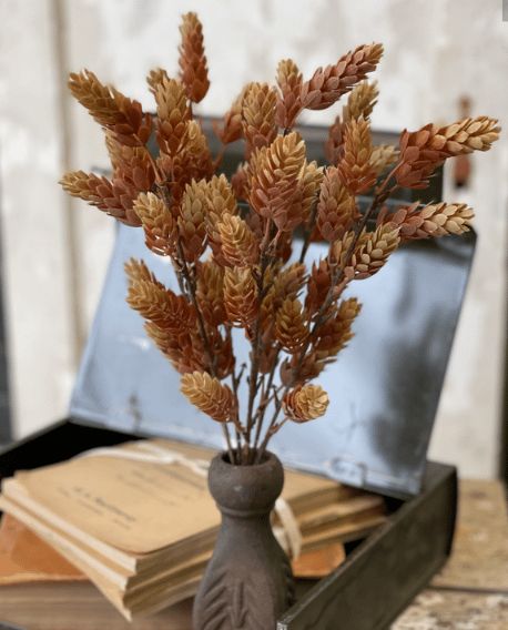 Molten Gold Hops Bush 15”