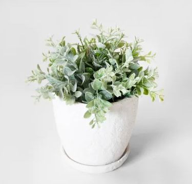 Ceramic Planter 5”
