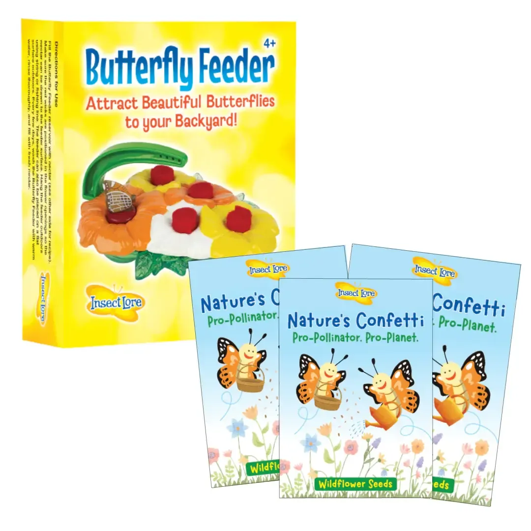 Butterfly Feeder