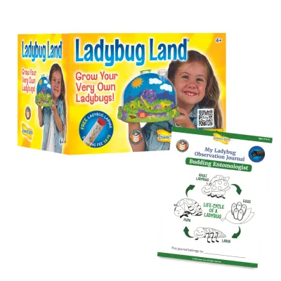 Ladybug Land