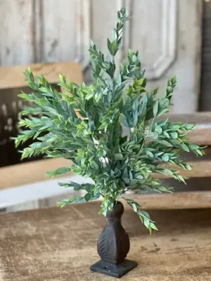 Rainwashed Bush 21”