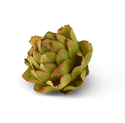 Green Artichoke 4”