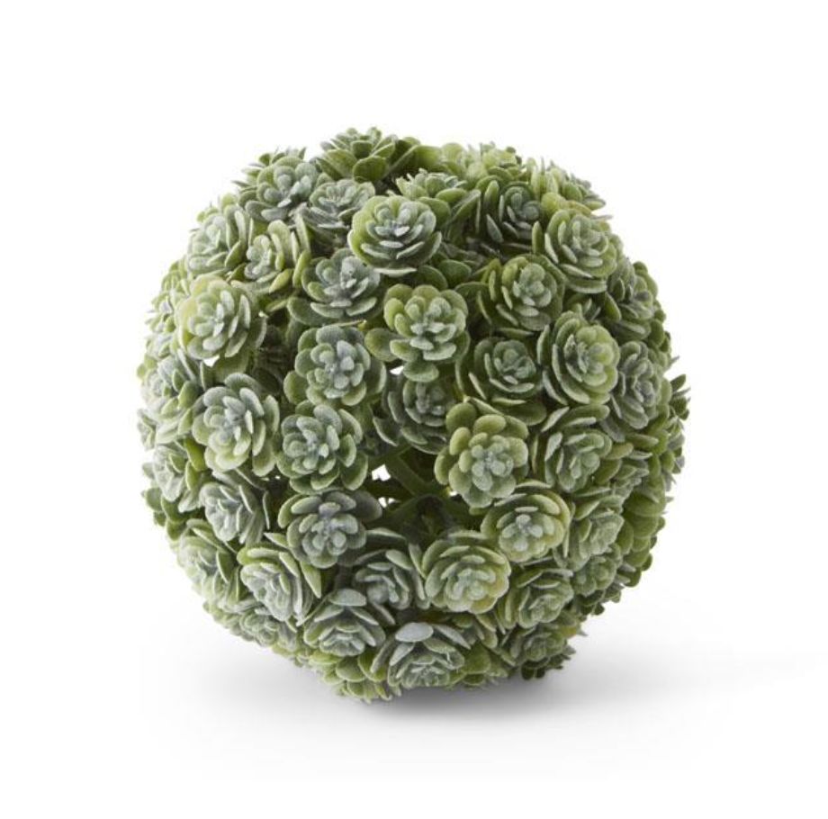 Succulent Ball 4”