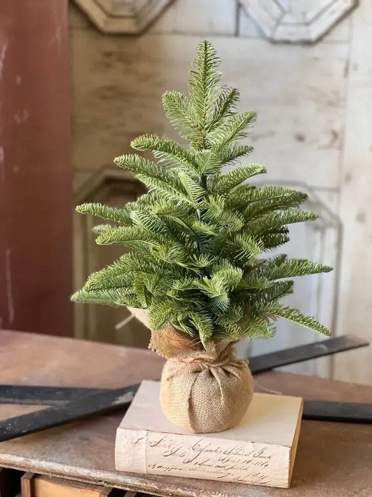 Shetland Spruce Tree 20”